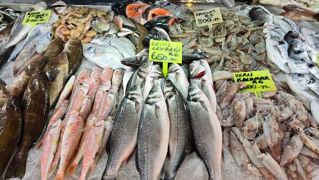 Fethiye Balık Hali’nde güncel fiyatlar: En pahalı balık ‘Barbun’