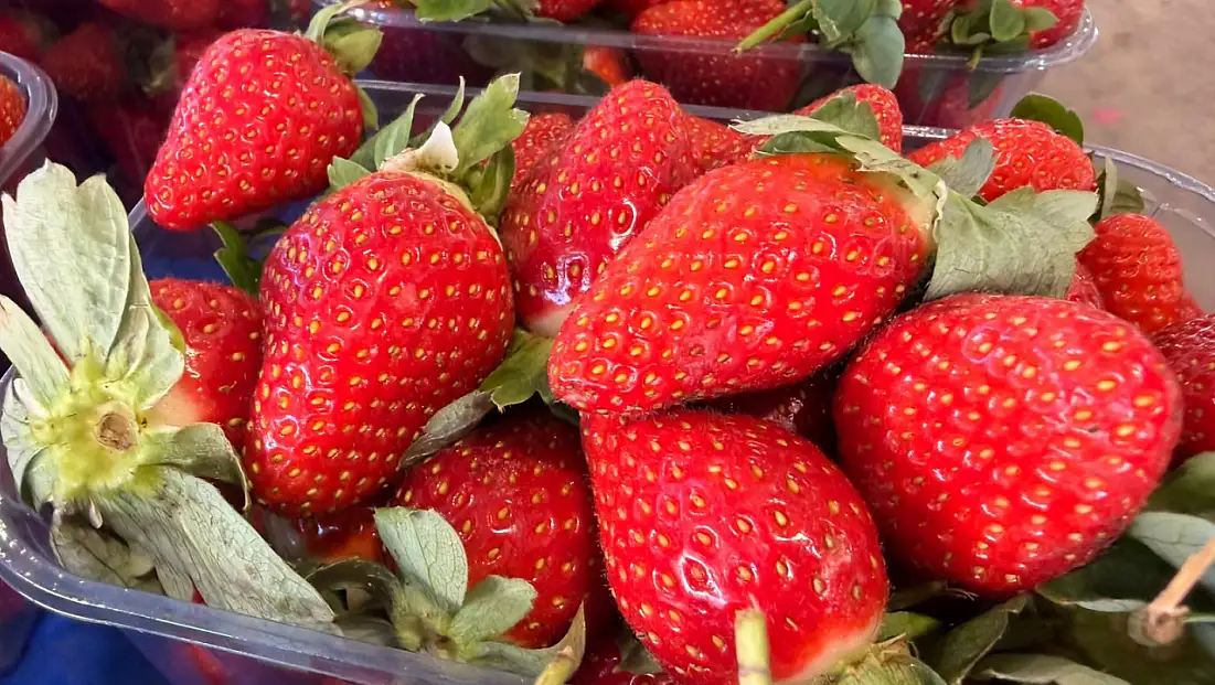 Fethiye’de çileğin tadına bakmak lüks oldu