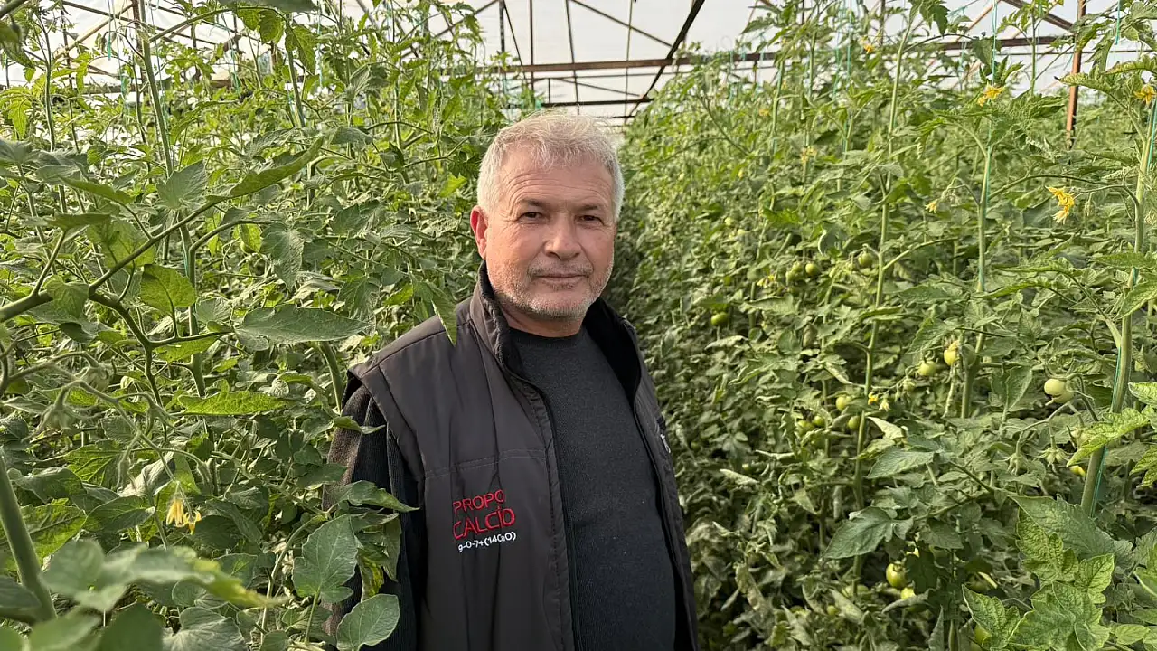 Seralarda külleme ile mücadele