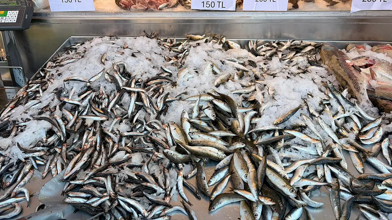 'Füme' balık Doğan Sea Food farkıyla Fethiye'de!