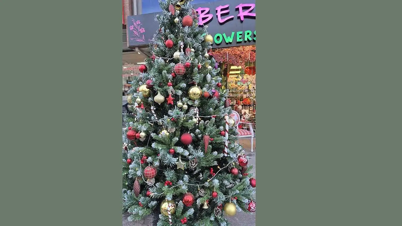 Bernis Çiçekçilikten yılbaşına özel 'Kokina' ve 'Tasarım Ağaçlar'