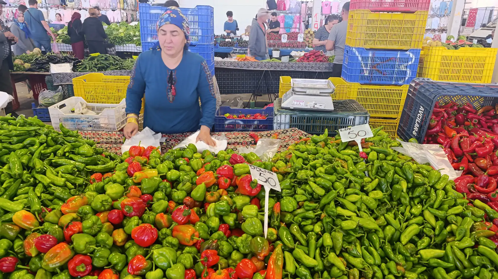 Ayat: 'Sebzelerdeki fiyatlar bu yıl uygun olur'
