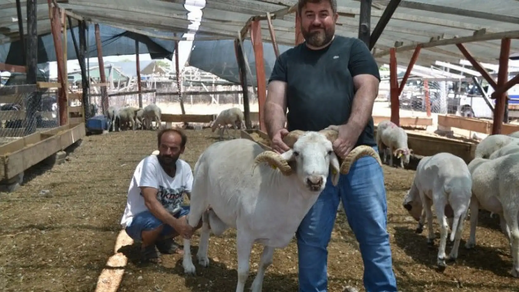 Çarıklı Kasap hayvan pazarında yerini aldı