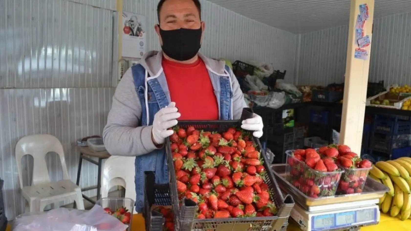 Çilek geçen yılın fiyatları ile satılıyor