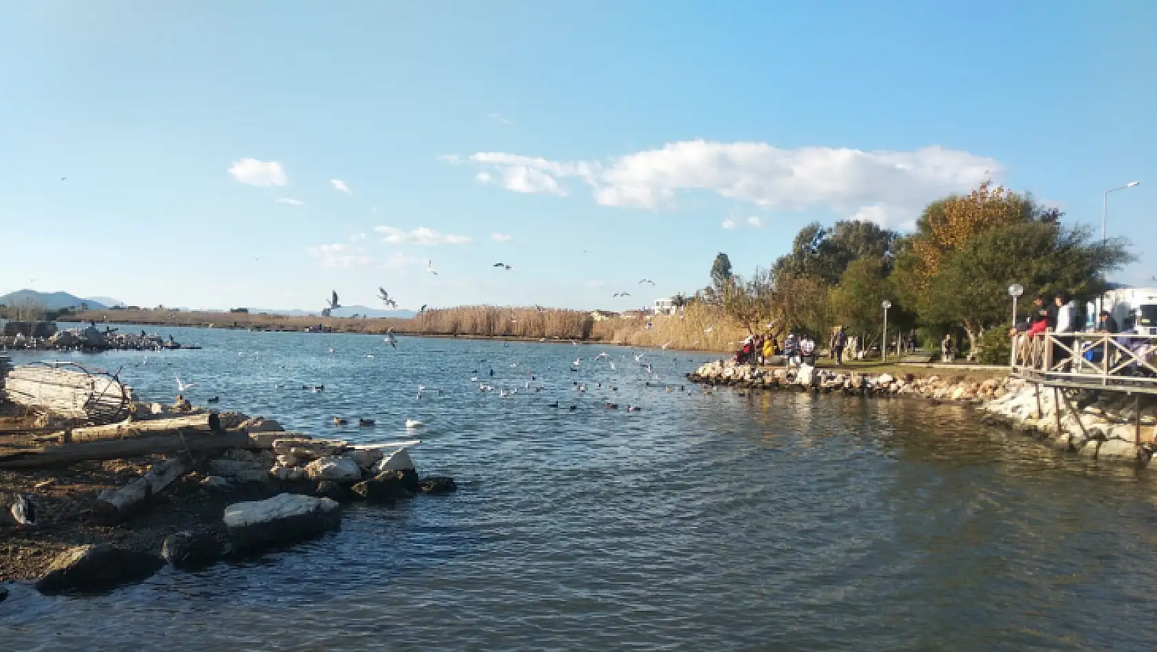 Güzel hava ördeklere yaradı