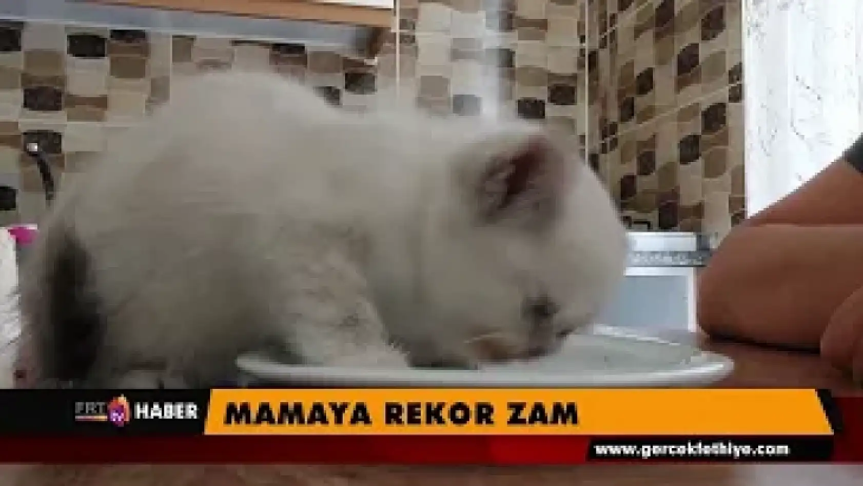 Mamaya rekor zam