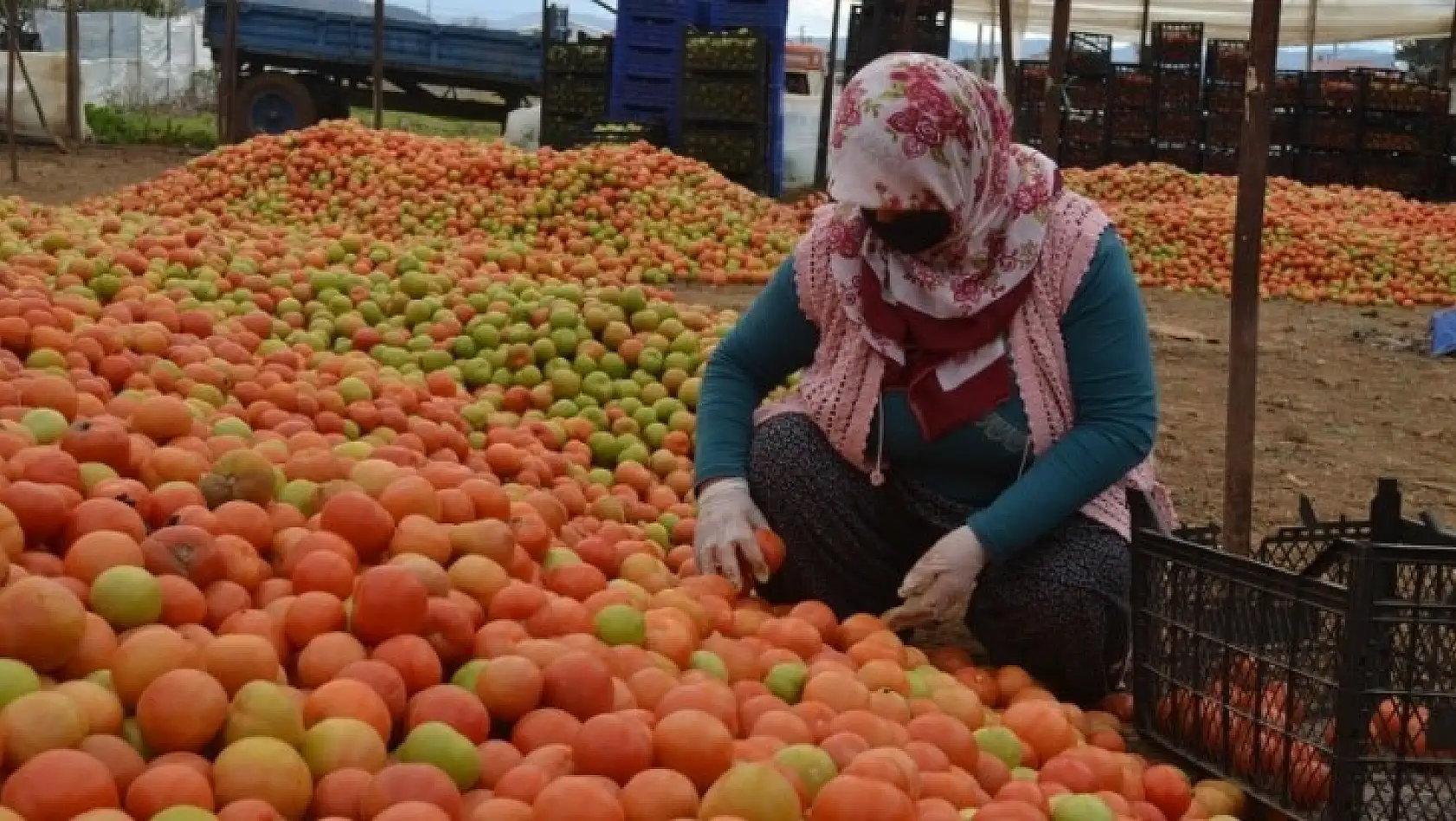 Üretici 'Girdilerdeki ÖTV kaldırılsın'