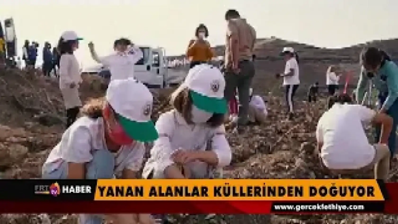 Yanan Alanlar Küllerinden Doğuyor