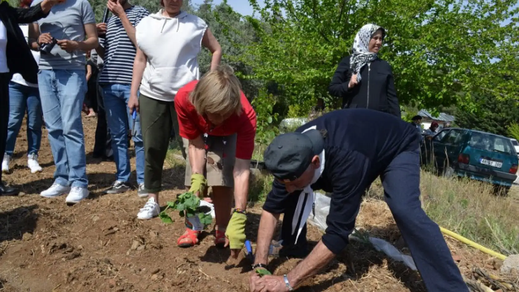 Yaşlılar fidan dikti