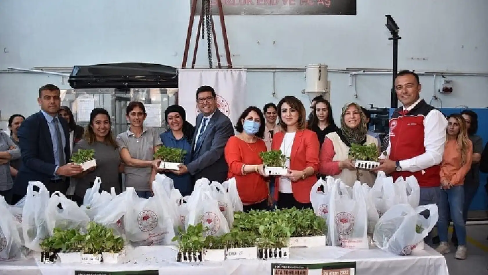 1963'TEN GÜNÜMÜZE ATA TOHUMLARINDAN 50 BİN FİDE TOPRAKLA BULUŞTU