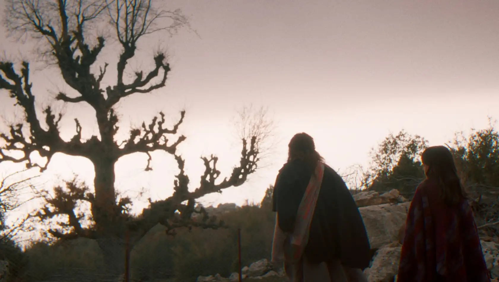 'Balinanın Bilgisi' Fethiye'de 13 Şubat'ta gösterime giriyor