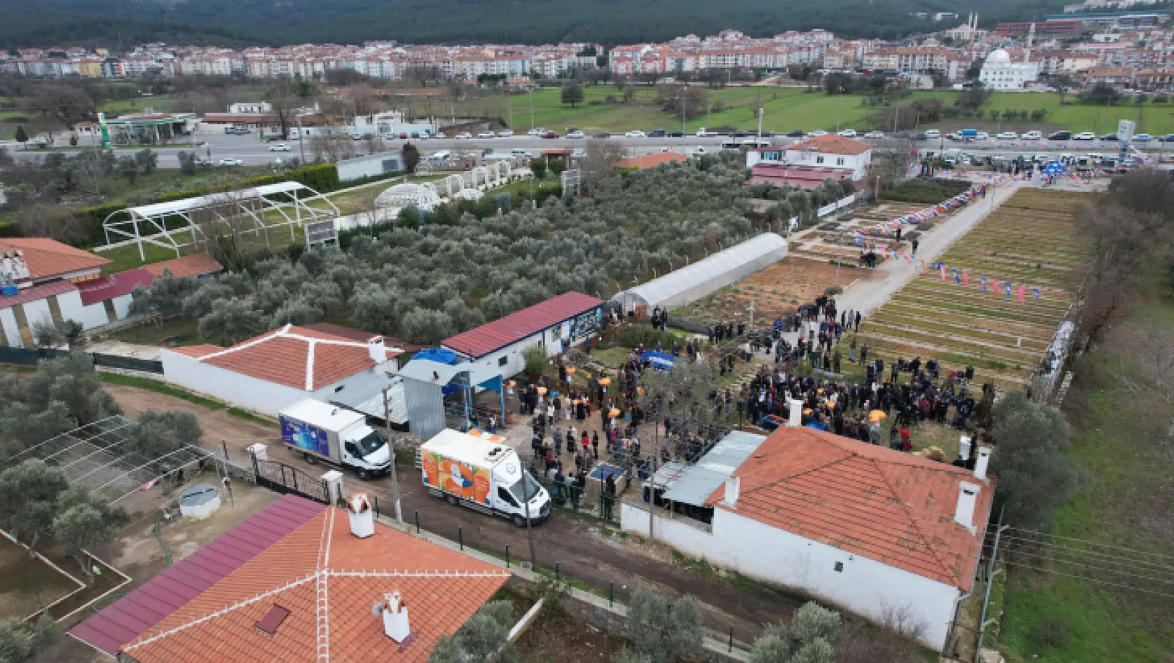 Büyükşehir Meyve Fidanı Dağıtımına Devam Ediyor