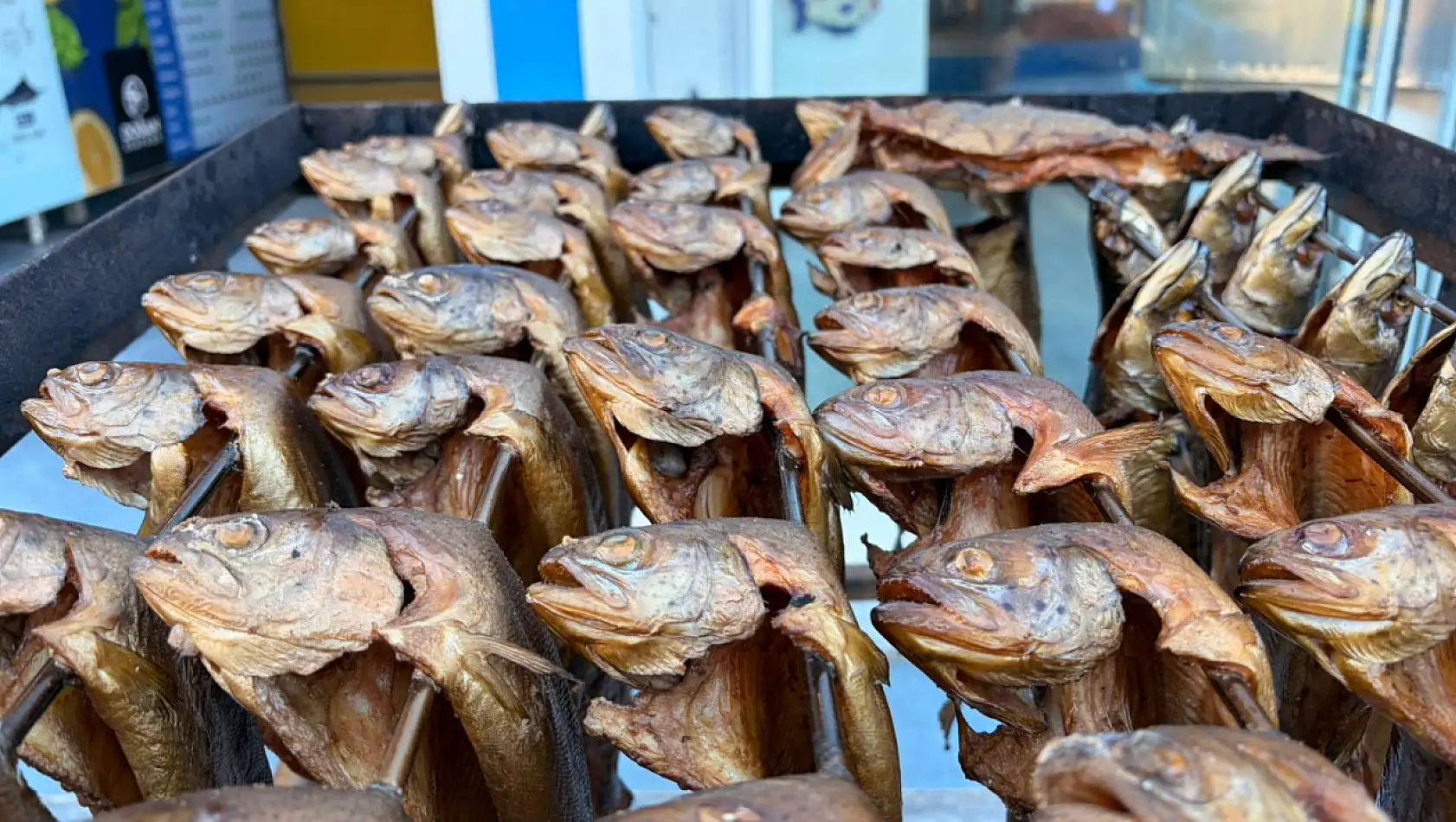 'Füme' balık Doğan Sea Food farkıyla Fethiye'de!