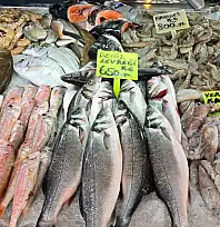 Fethiye Balık Hali'nde güncel fiyatlar: En pahalı balık 'Barbun'