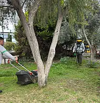 Fethiye'de 2. etap sahil bandında çim kesim çalışması