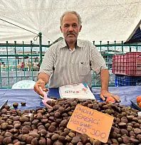 Fethiye'de kestane sezonu başladı