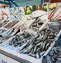 Fethiye'de Yiğit Balıkçılık sahibi Osman Çalışan: 'Fiyat artışı yapmadık, yapmayacağız'