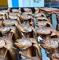 'Füme' balık Doğan Sea Food farkıyla Fethiye'de!