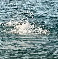 Sıcak havayı Çalış Plajı'nda değerlendirdiler