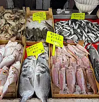 Yeni yılın ilk gününde tezgahlardaki balık fiyatları