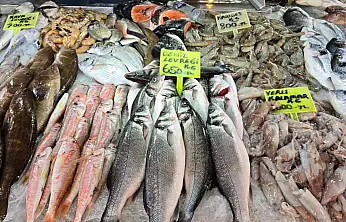 Fethiye Balık Hali'nde güncel fiyatlar: En pahalı balık 'Barbun'
