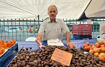 Fethiye'de kestane sezonu başladı