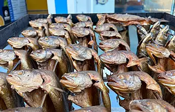 'Füme' balık Doğan Sea Food farkıyla Fethiye'de!