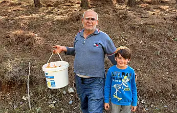 Seydikemer Çobanisa'da Çıntar Bereketi
