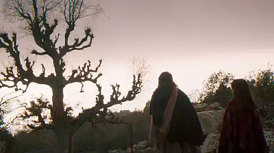 'Balinanın Bilgisi' Fethiye'de 13 Şubat'ta gösterime giriyor