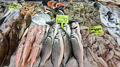 Fethiye Balık Hali'nde güncel fiyatlar: En pahalı balık 'Barbun'