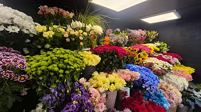 Fethiye'de Yazın En Çok Gül ve Papatya Satılıyor