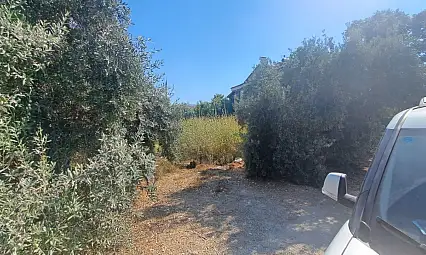 Fethiye'de Arsa Sahiplerini Şok Eden Uyarı: Temizlemeyene Ceza Var!