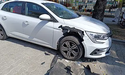 Fethiye'de Domuz Alarmı, Otomobile Saldırdılar
