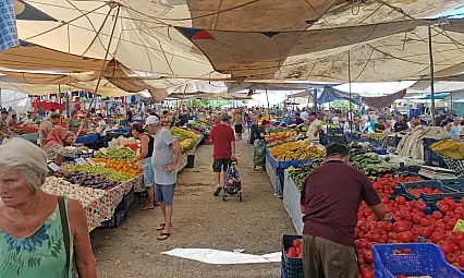 Koyuncu, 'Bu sezon işler beklenenin altında'