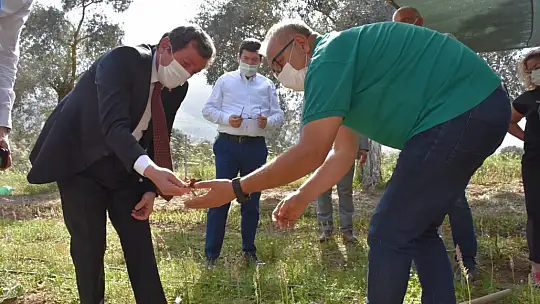 Vali Tavlı, tarım üreticilerini ziyaret etti