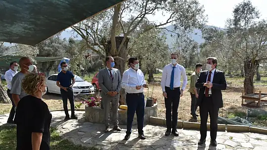 Vali Tavlı, tarım üreticilerini ziyaret etti