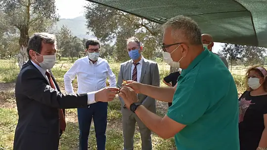 Vali Tavlı, tarım üreticilerini ziyaret etti