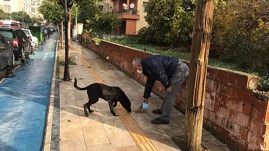 Milas Belediyesi Minik Dostlarımızın Yanında