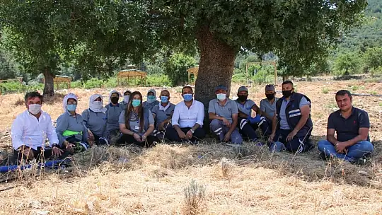 Bodrum Belediyesi'nin tarımsal kalkınma hamlesi adım adım hayata geçiriliyor