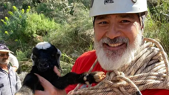 AKUT Fethiye ekibi mahsur kalan keçiyi kurtardı