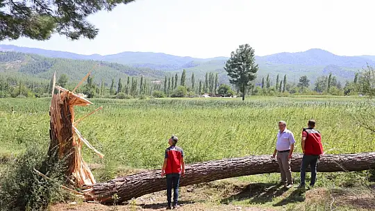 Tarımsal Hasar Tespitleri Yapıldı