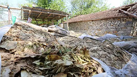 Tarımsal Hasar Tespitleri Yapıldı