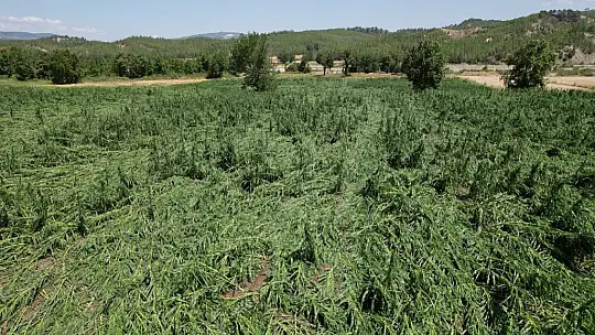 Tarımsal Hasar Tespitleri Yapıldı