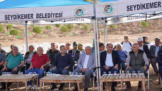 Başkan Akdenizli 'Kül Olan Ormanlarımızı Yeşertiyoruz'