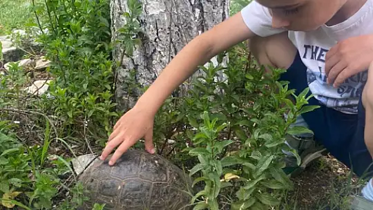 GİGA, Özel Çocuklara Sanatın Kapılarını Araladı 