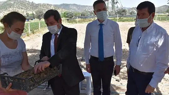 Vali Tavlı, tarım üreticilerini ziyaret etti