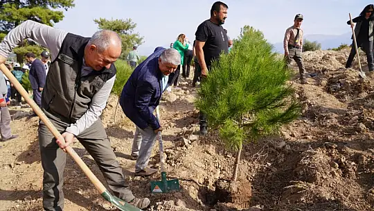 Başkan Akdenizli 'Kül Olan Ormanlarımızı Yeşertiyoruz'