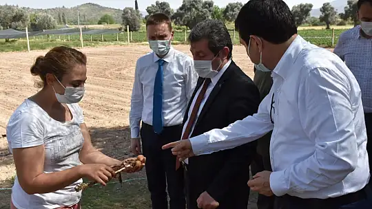 Vali Tavlı, tarım üreticilerini ziyaret etti