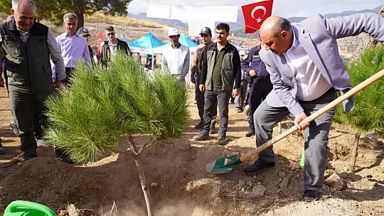 Başkan Akdenizli 'Kül Olan Ormanlarımızı Yeşertiyoruz'