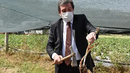 Vali Tavlı, tarım üreticilerini ziyaret etti